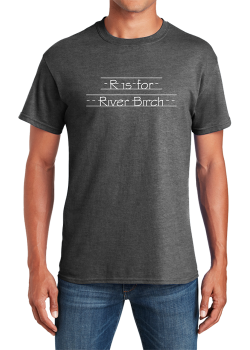 River Birch Softstyle T-shirt Heather Dark Gray - YSD